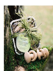 applewood rattle