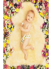 bowron sheepskin comforter